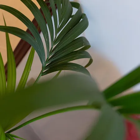 Apartment Casa Isadora *