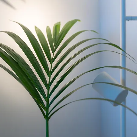 Casa Isadora * Alghero