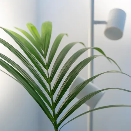 Casa Isadora Апартаменты *